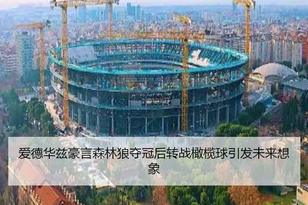 爱德华兹豪言森林狼夺冠后转战橄榄球引发未来想象